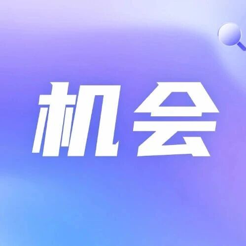 15人！枣庄薛城区招高中教师,仅面试